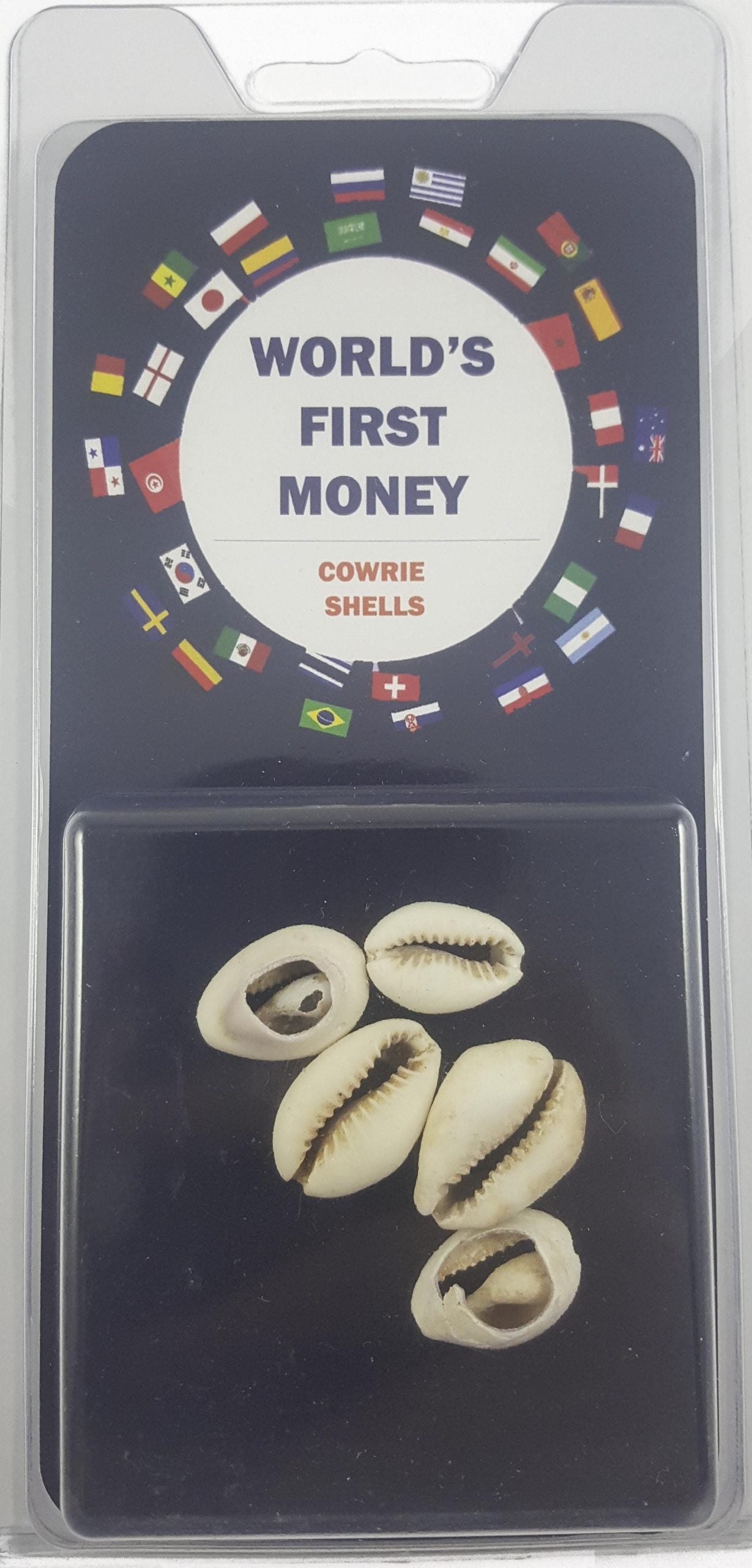 West African shell money(C)